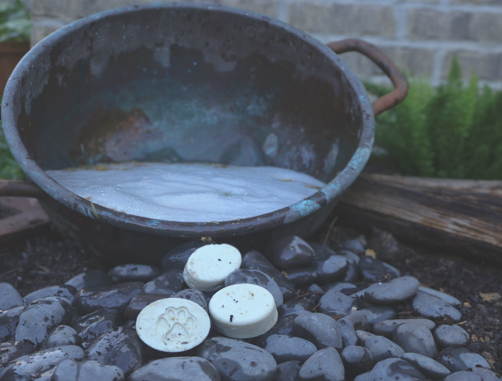 Hollow Hound Creek Dog Shampoo Bars with paw print stamp beside vintage copper wash basin on river rocks