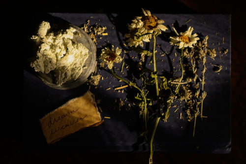 Dream Weaver whipped tallow balm with dried chamomile flowers and handwritten label on dark background