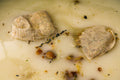Oatstraw chamomile and vanilla bean bath bags in a creamy milky bath