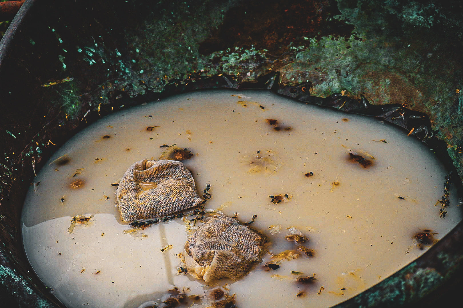 Lavender and mugwort herbal bath bags floating in a milky white bath