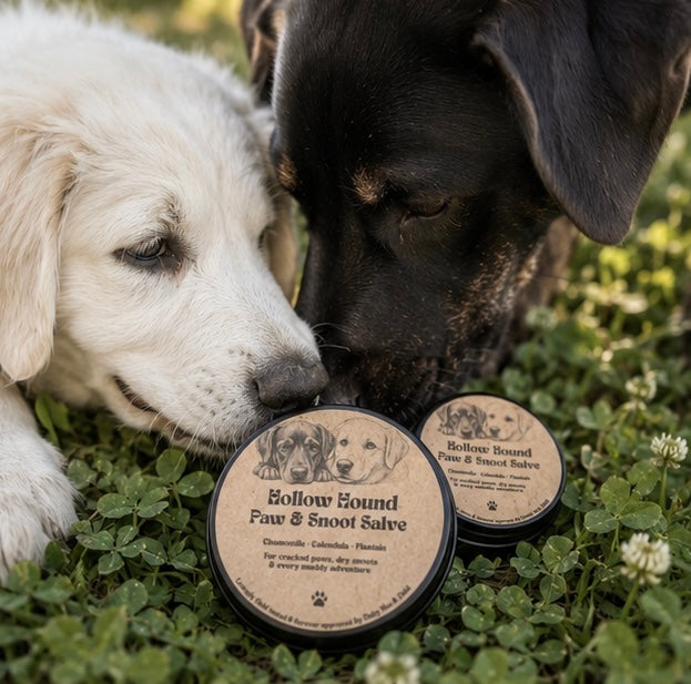 Daisy Mae and Enid sniffing Hollow Hound Paw & Snoot Salve tins in the grass
