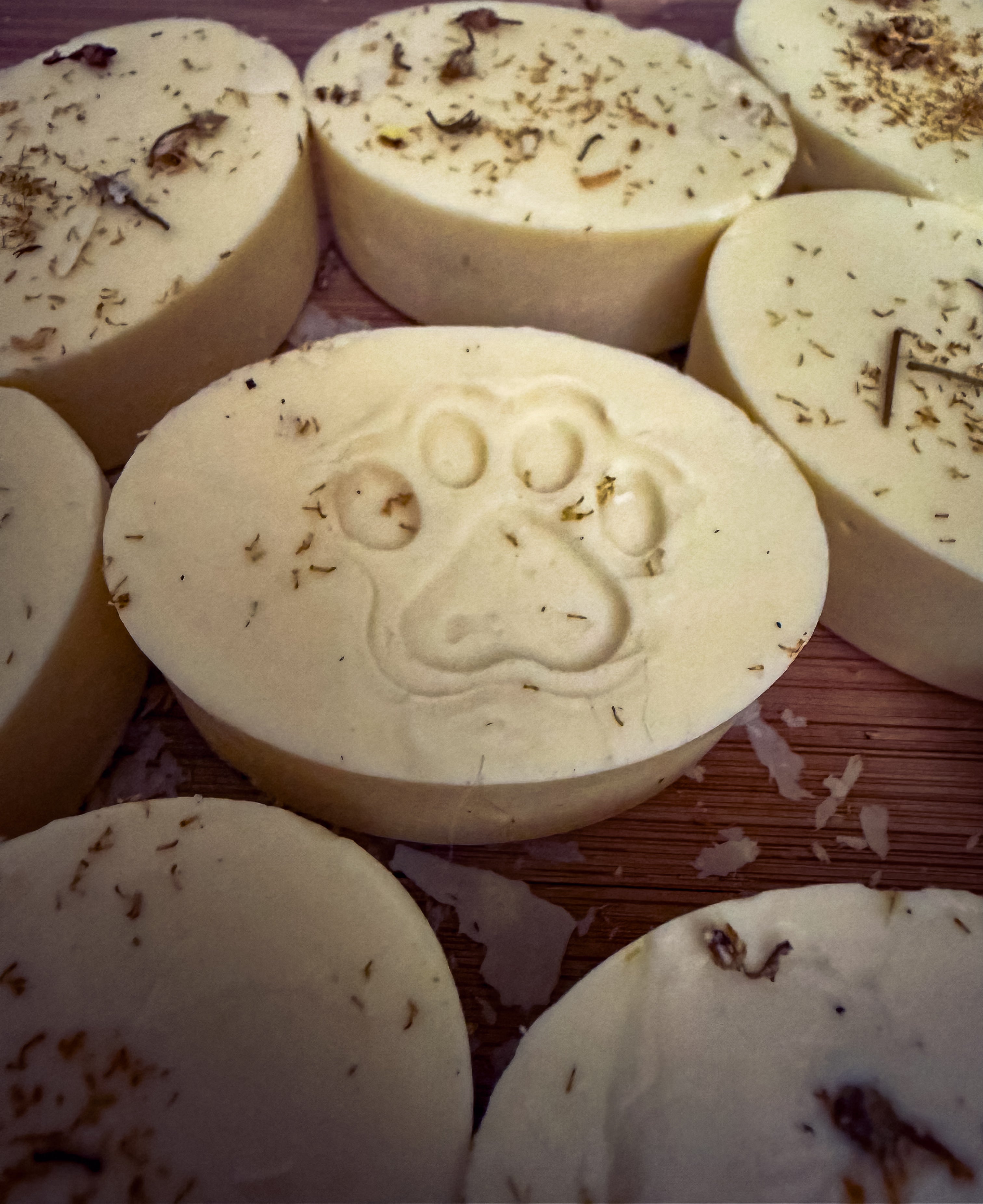 Hollow Hound Creek Dog Shampoo Bars with paw print stamp and herb sprinkle